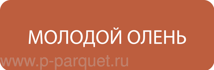 Краска для кожи Мастер Сити цвет Молодой олень